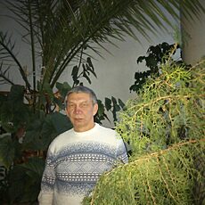 Фотография мужчины Серж, 64 года из г. Усолье-Сибирское