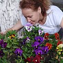 Человек, 50 лет