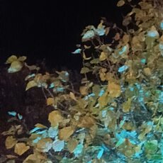 Фотография мужчины Alex, 34 года из г. Винница