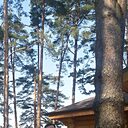 Алексей, 50 лет