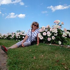 Фотография девушки Наталья, 59 лет из г. Тула