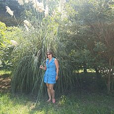 Фотография девушки София, 47 лет из г. Ульяновск