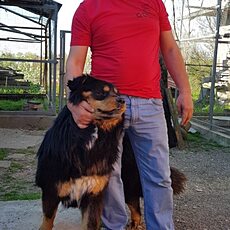 Фотография мужчины Александр, 47 лет из г. Майкоп