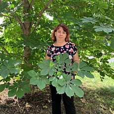 Фотография девушки Светлана, 55 лет из г. Тольятти