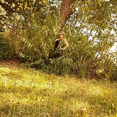 Фотография девушки Наталья, 47 лет из г. Пенза