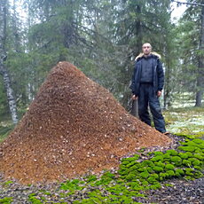 Фотография мужчины Сергей, 45 лет из г. Ростов-на-Дону