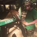 Александр, 36 лет