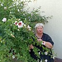 Ирина, 64 года