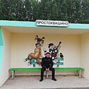 Сергей, 50 лет