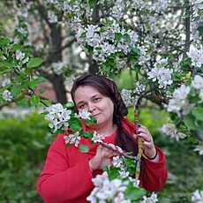 Фотография девушки Ольга, 45 лет из г. Тула