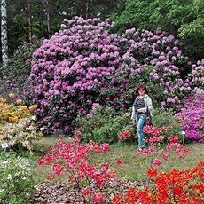 Фотография девушки Ирина, 52 года из г. Барановичи