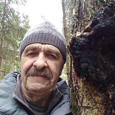 Фотография мужчины Юрий, 60 лет из г. Киржач