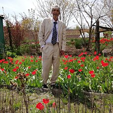 Фотография мужчины Валерий, 66 лет из г. Москва