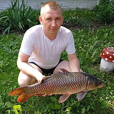 Фотография мужчины Дмитрий, 37 лет из г. Курск