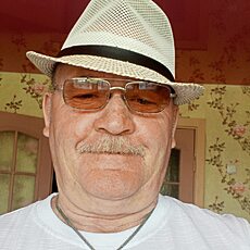 Фотография мужчины Николай, 69 лет из г. Корма
