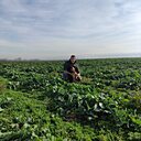 Виталик, 39 лет