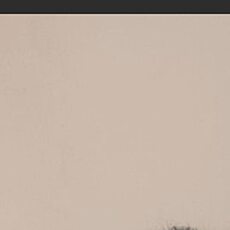 Фотография мужчины Роман, 30 лет из г. Стерлитамак