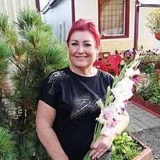 Фотография девушки Вероника, 64 года из г. Петропавловск-Камчатский