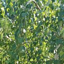 Любовь, 62 года