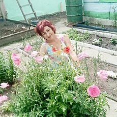 Фотография девушки Людмила, 63 года из г. Омск