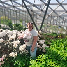 Фотография девушки Лариса, 54 года из г. Иваново