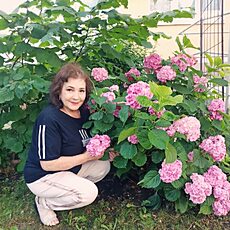 Фотография девушки Светлана, 64 года из г. Свободный