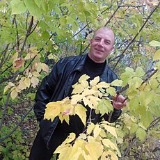 Фотография мужчины Николай, 48 лет из г. Голышманово