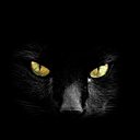 Елена, 47 лет