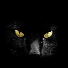 Фотография девушки Елена, 47 лет из г. Тула