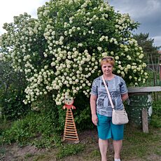 Фотография девушки Елена, 57 лет из г. Ярославль