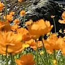 Людмила, 63 года