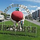 Анастасия, 42 года