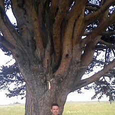 Фотография мужчины Дима, 45 лет из г. Ижевск