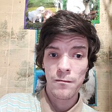 Фотография мужчины Дмитрий, 31 год из г. Братск