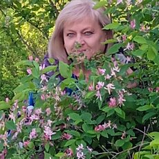 Фотография девушки Алла, 61 год из г. Харьков