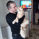 Денис, 36 лет