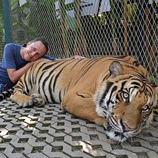Фотография мужчины Михаил, 42 года из г. Москва
