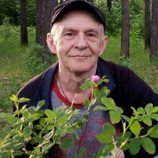 Фотография мужчины Владимир, 62 года из г. Кемерово