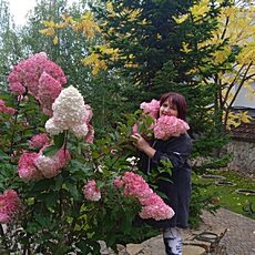 Фотография девушки Любовь, 53 года из г. Барнаул