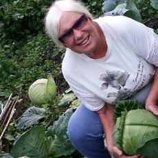 Фотография девушки Вера Дикович, 72 года из г. Юрга