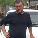 Лис, 55 лет