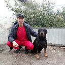 Владимир, 37 лет