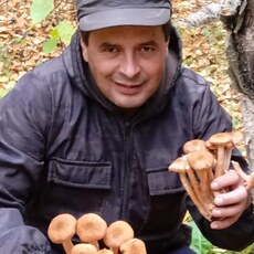 Фотография мужчины Сергей, 48 лет из г. Кушва