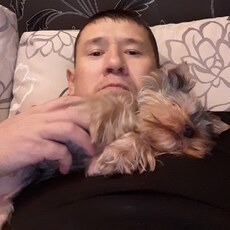Фотография мужчины Дамир, 47 лет из г. Новоуральск