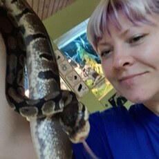 Фотография девушки Светлана, 38 лет из г. Челябинск