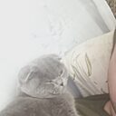 Владислав, 28 лет