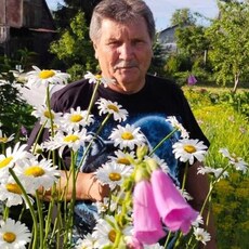 Фотография мужчины Валерий, 65 лет из г. Ярославль