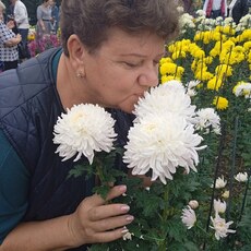 Фотография девушки Светлана, 56 лет из г. Симферополь