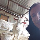 Андрей, 58 лет