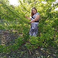 Фотография девушки Багира, 64 года из г. Бирюч